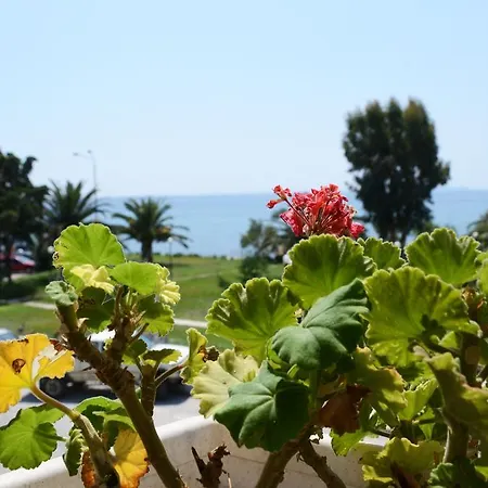 Guest house Cavo D' Oro 2*