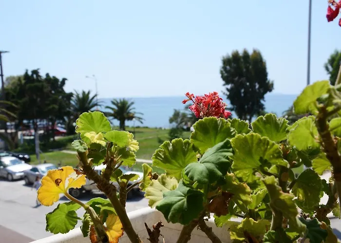 Vendégház Cavo D' Oro 3*